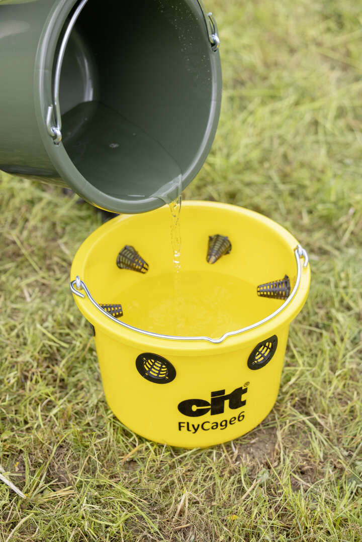 cit Fliegenfalle FlyCage inklusive Lockstoff